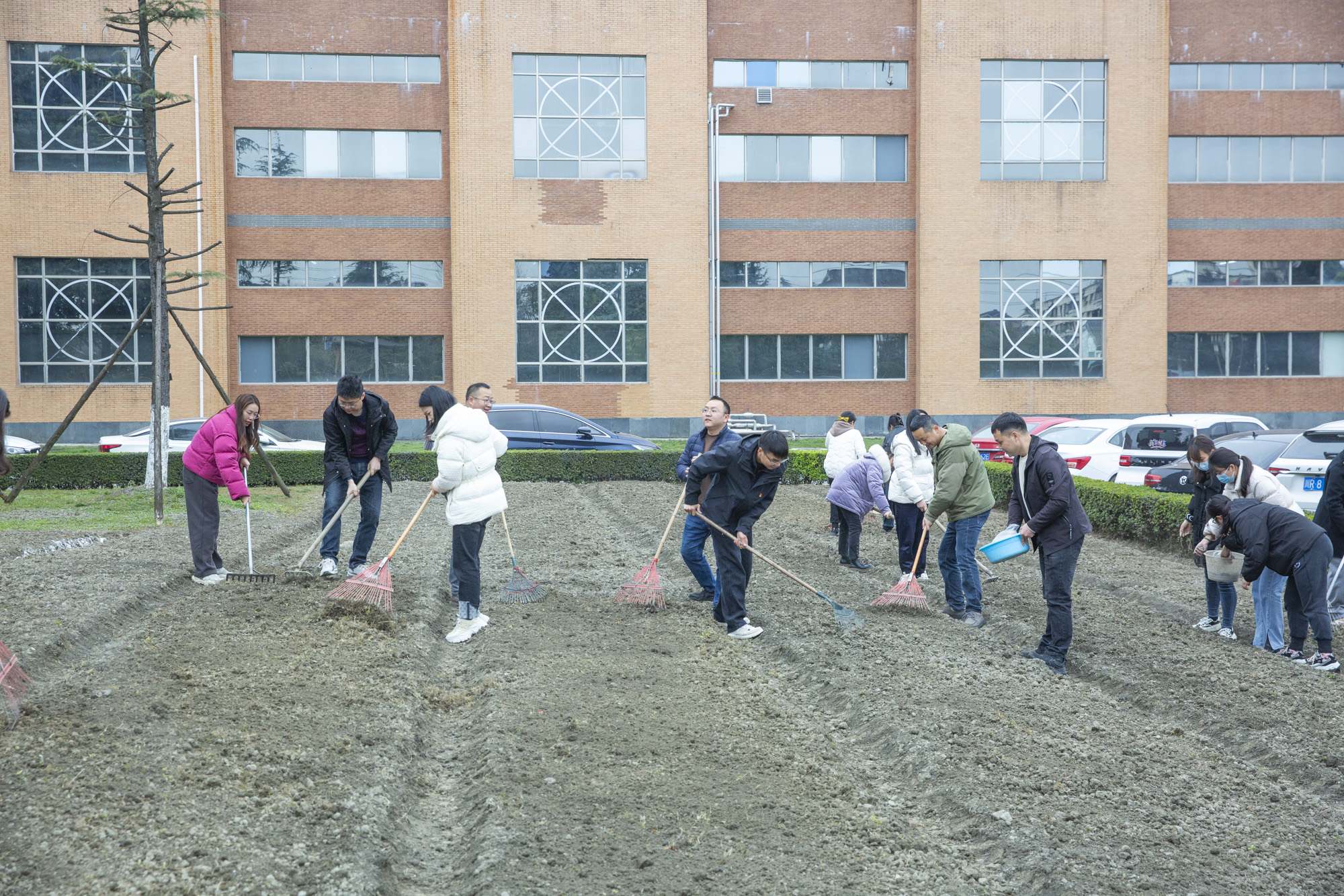 植樹節(jié) | 四川海蓉開展“植此青綠，擁抱春天”植樹節(jié)活動